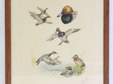 tableau représentant des canards volant au-dessus d'un plan d'eau, avec un œuf au milieu