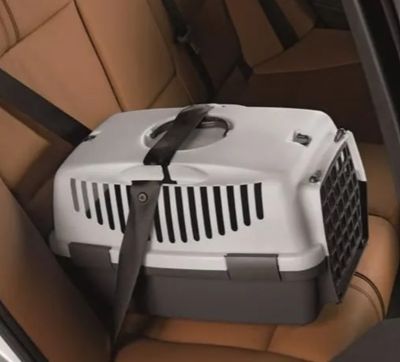 une cage de transport pour chien sur la banquette arrière d'une voiture