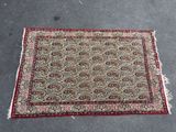 a rug with a red border and a paisley design on it
