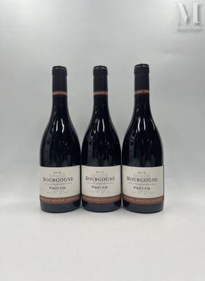 BOURGOGNE, "Pinot Fin", ARNOUX-LACHAUX, 2016