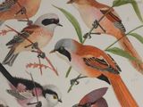 many birds that are sitting on the branches of a tree