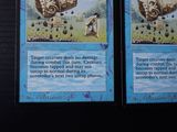 two cards on the table that have pictures of animals on them