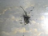 un tableau représentant un oiseau en plein vol
