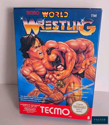 une image représentant une boîte de « Tecmio World Wrestling »