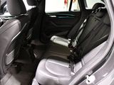a cat sitting in the back seat of a car