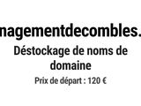 Photo 1/1 du lot
