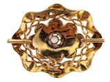 an image of a close up of a brooch with a heart in it
