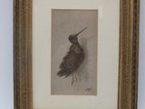 an old picture of a bird hanging on a wall in a gold frame