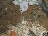 une photo d'un tableau sur le mur d'une salle de bain