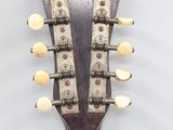 a close up of a guitar neck with a lot of strings on it