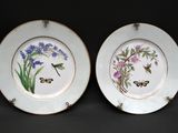 two plates with flowers and butterflies painted on them on a black surface