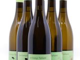 quatre bouteilles de vin sont alignées sur une surface blanche