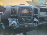 Photo 5/15 du lot