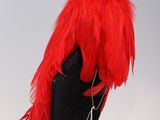 a black glove with a red feather on top of it