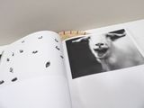 an open book with a picture of a goat on it