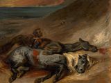 Photo 1/2 du lot