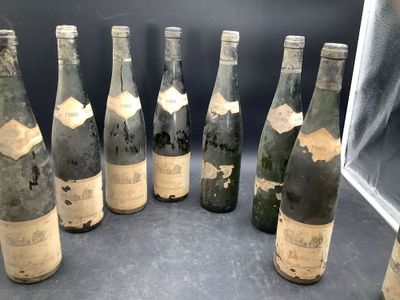 several bottles of wine are lined up in a row on a table