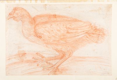 an image of a drawing of a bird on a piece of paper