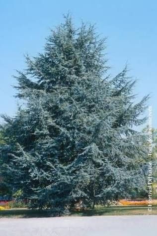 Destockage & Invendus