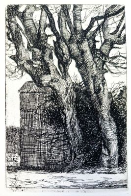 dessin d'un arbre avec une clôture devant