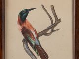 painting of a colorful bird perched on a branch in a wooden frame