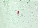 a green glass vase with water droplets on it