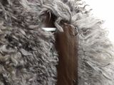a close up of a stuffed animal with a leather collar
