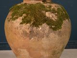 a large clay vase with moss growing on it