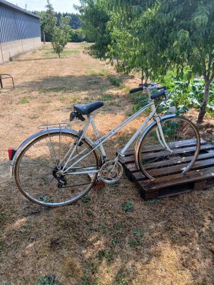 a bike that is parked next to a tree