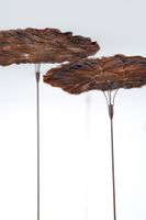 xx ALTIN Studio / Yasmine Sfar (née en 1984) (photo 2)