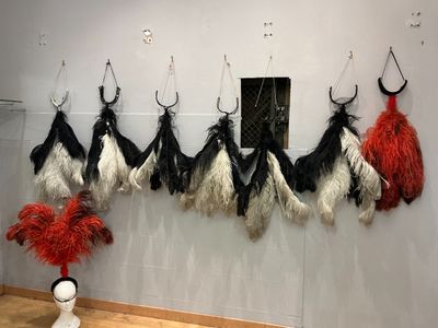 de nombreuses plumes de différentes couleurs suspendues à des crochets fixés au mur