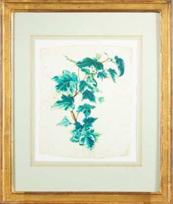 a painting of a plant with green leaves in a gold frame