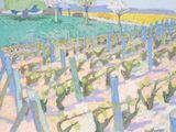 Photo 6/7 du lot
