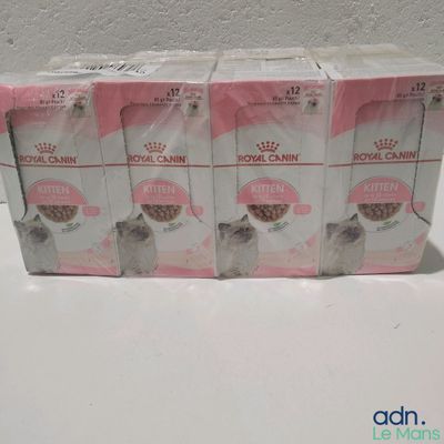 quatre boîtes d'aliments pour chatons Royal Canin posées sur une table