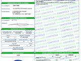 a green and white id card with a picture of a person ' s identification
