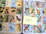 une photo d'un livre sur lequel figurent des illustrations d'insectes