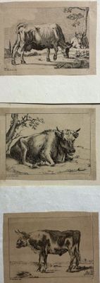 quatre images différentes d'une vache et d'une vache couchée par terre