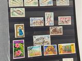 Photo 37/50 du lot