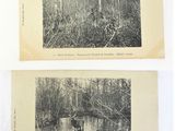 deux photos en noir et blanc représentant un homme à cheval dans les bois