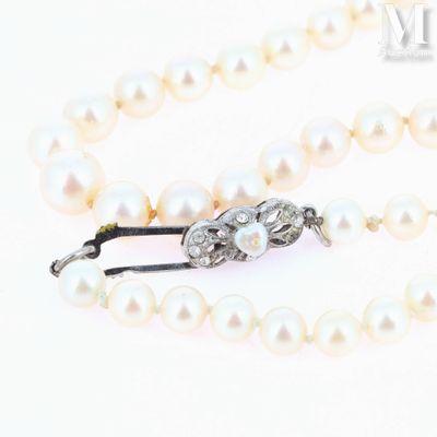 a close up of a white pearl necklace with a silver clasp