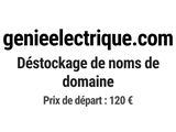 Photo 1/1 du lot