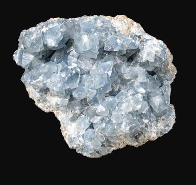 JOLIE CELESTINE MADAGASCAR (20cm)