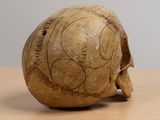 a skull that has a lot of writing on it