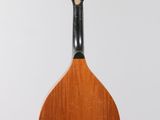 an image of a mandolin hanging from a string on a wall