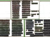 many bottles of wine on display in the window