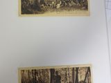two old black and white photos of a group of people in the woods