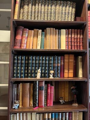 une étagère contenant de nombreux livres dans une pièce