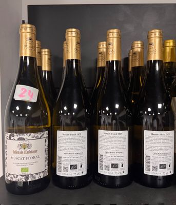 Des bouteilles de vin sont alignées sur une étagère dans un magasin de vins.