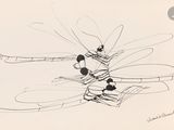 un dessin représentant une libellule sur une feuille de papier