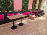 un canapé et une table dans une pièce où des plantes ornent les murs